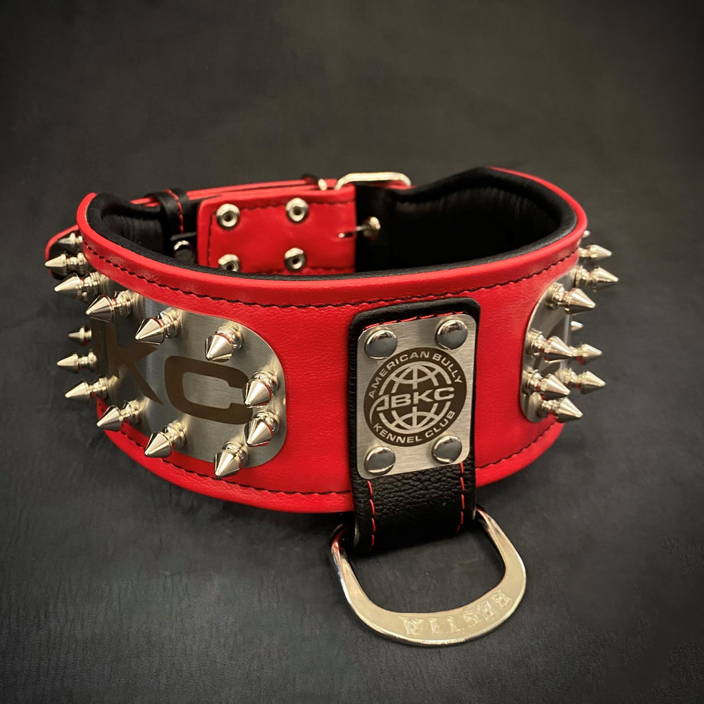Leather Dog Collar – "ABKC", Spiked, American Bully Kennel Club