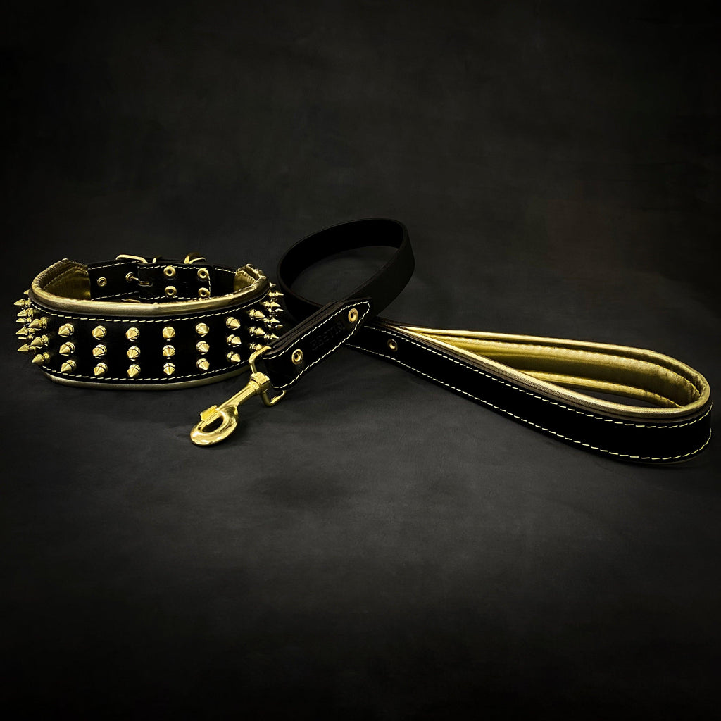 Leather Dog Collar – Gold Giant, Gold Hardware
