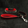 Leather Dog Collar & Leash Set – Frenchie, Red