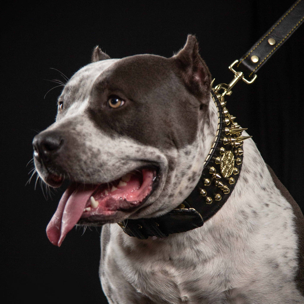 Imperium Wide Spiked Dog Collar | Hand-Stitched | Bestia