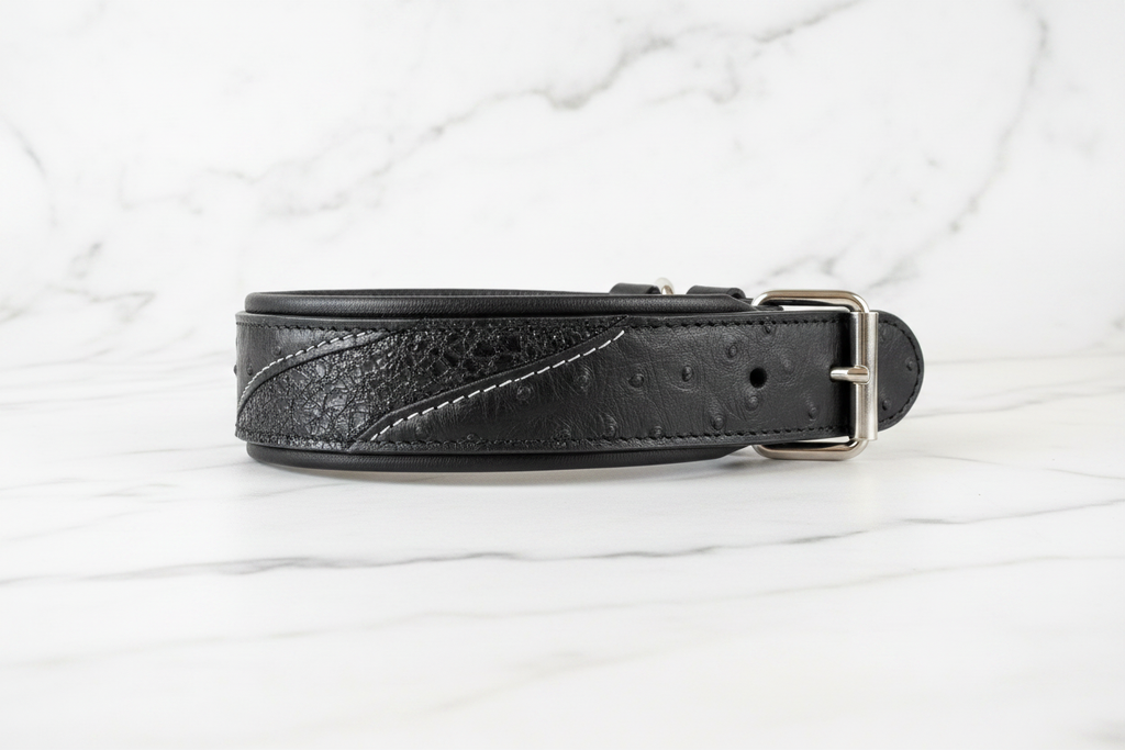 Korona Collar - Flat Lay