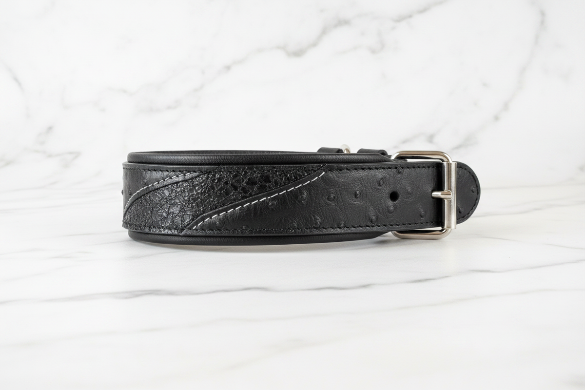 Korona Collar - Flat Lay