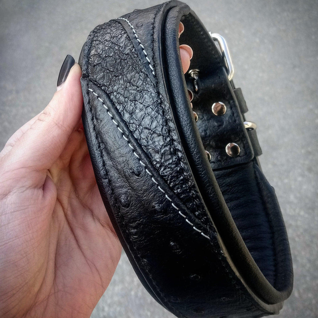 Glitter Leather Dog Collar – Korona, Black Edition