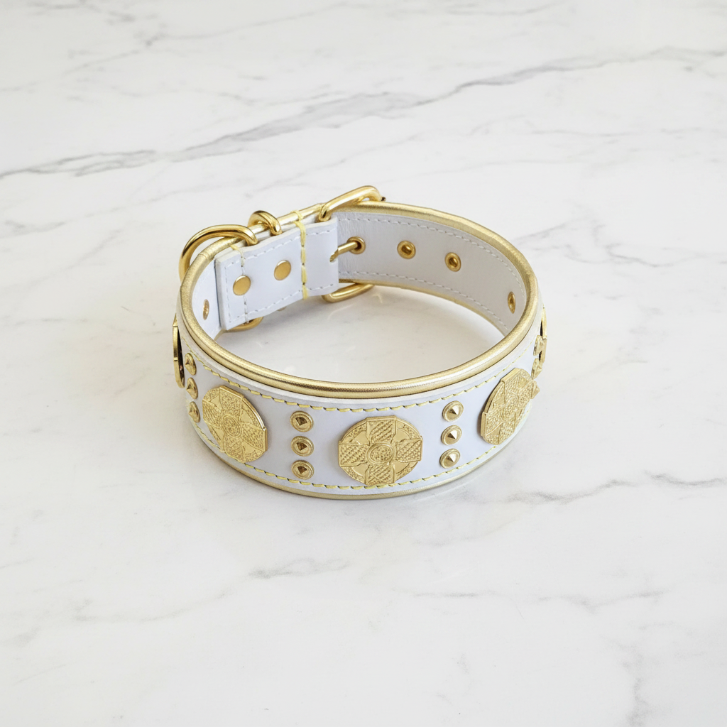 Maximus Collar – Flat-lay