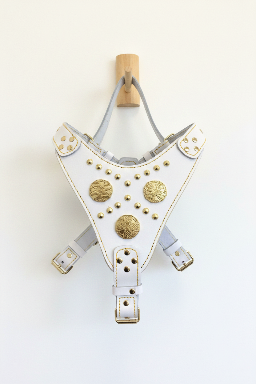 Maximus Harness – Hanging