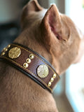 Wide Leather Dog Collar – Maximus, 2.5 Inch, Brown & Gold