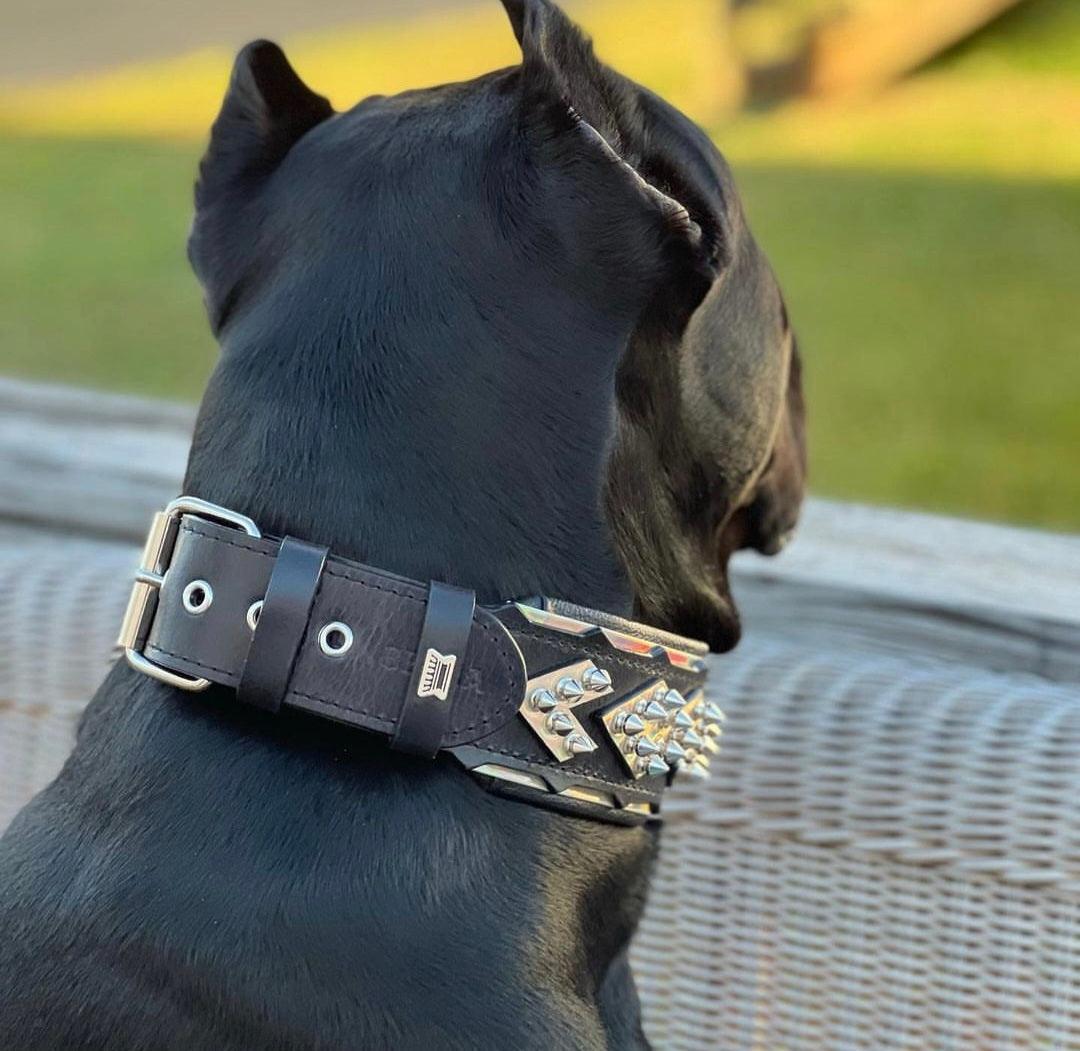 Leather Dog Collar – Midas, Black & Silver Spiked
