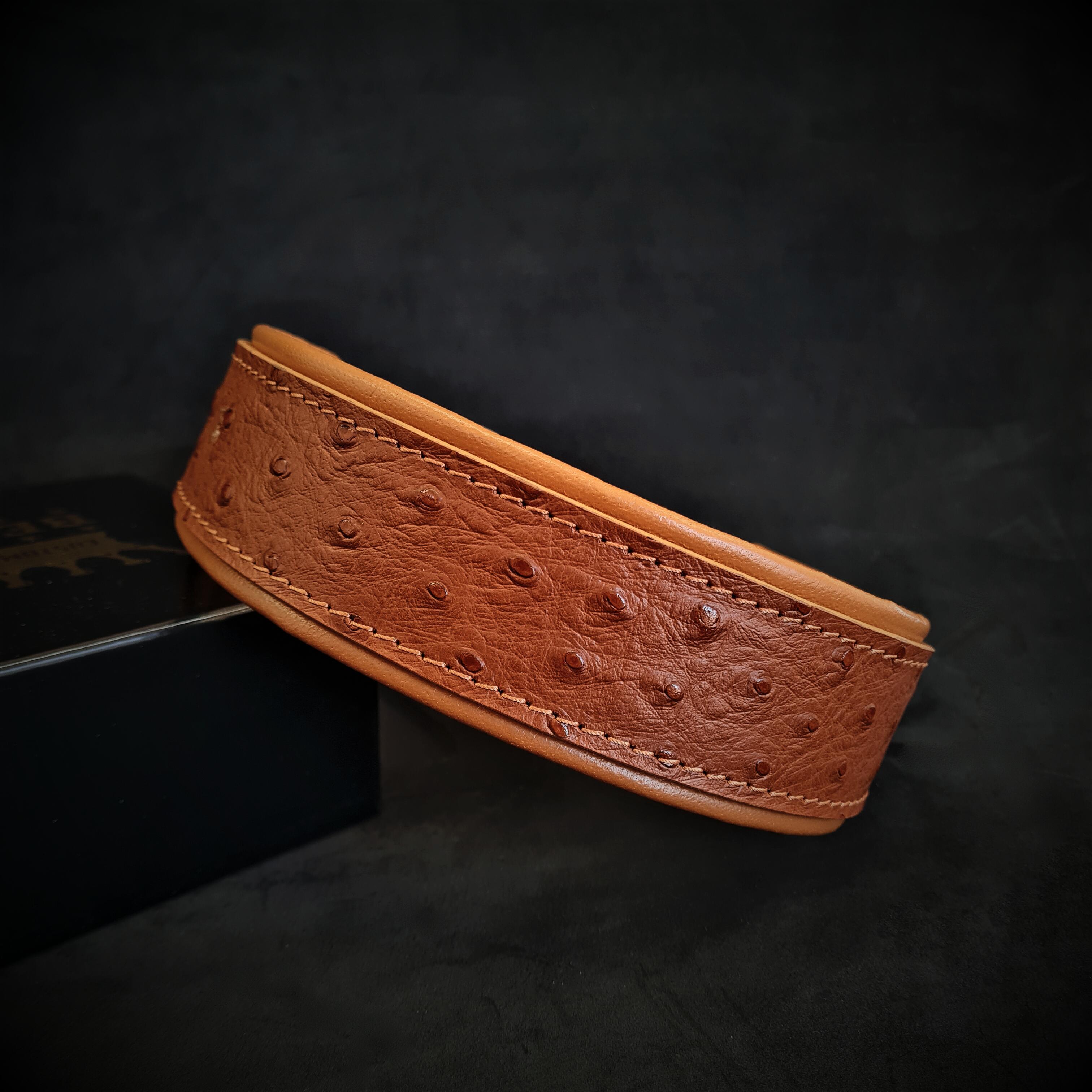 Ostrich-Embossed Leather Dog Collar – Limited Edition