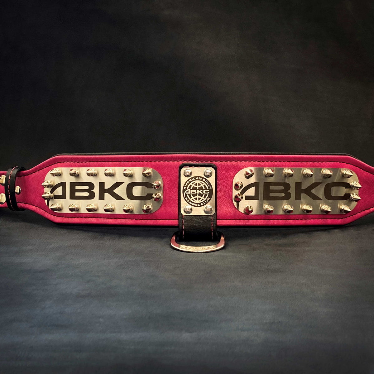 Leather Dog Collar – "ABKC", Spiked, American Bully Kennel Club