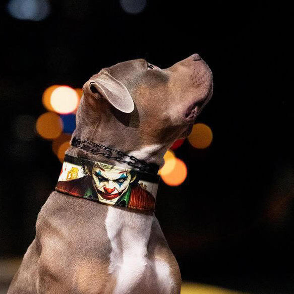 Leather Dog Collar – Joker Inspired, Halloween Edition