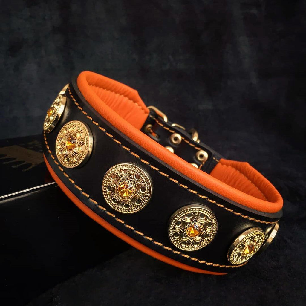 Luxury Leather Dog Collar – Bijou, Orange