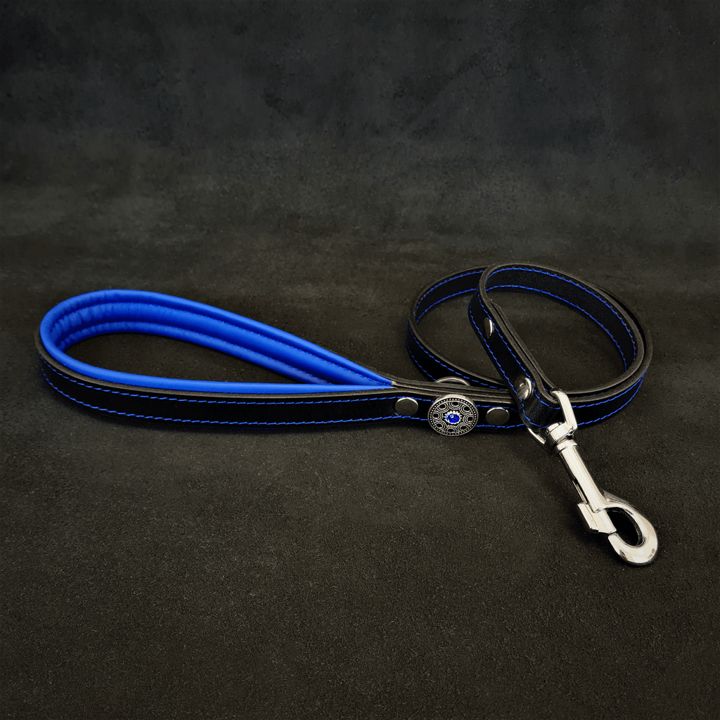 Bijou Leather Dog Harness – Black & Blue