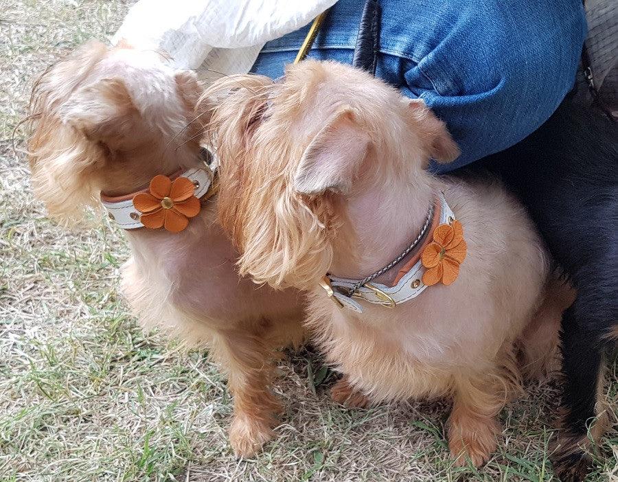 Handmade Leather Puppy Collar – Flower Design