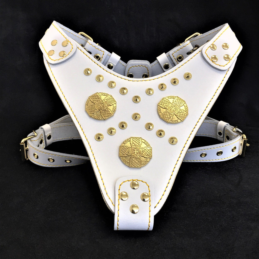 The Maximus Leather Dog Harness — White & Gold | Medium to Giant